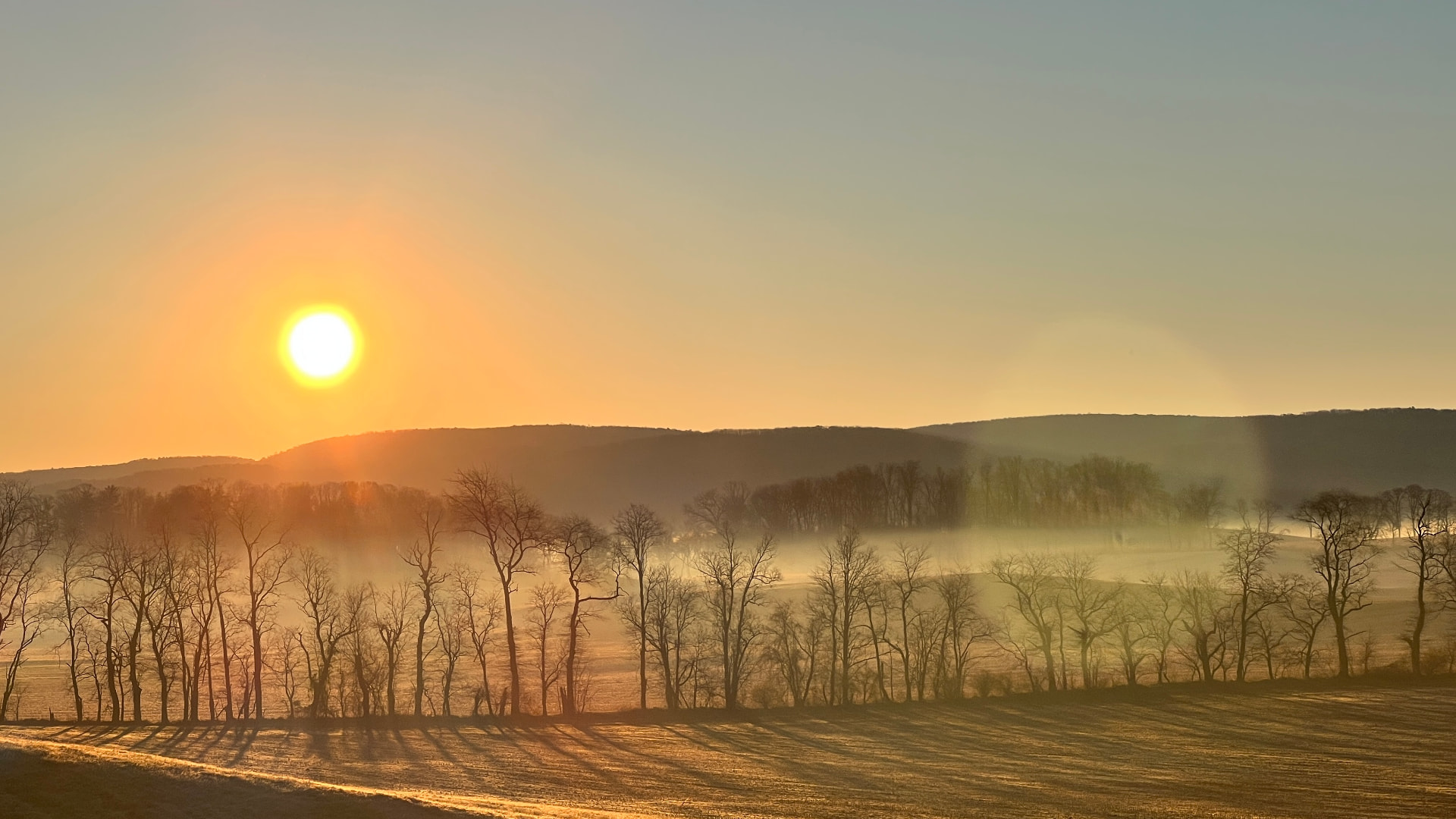 Sunrise burning through fog over a treeline and open fields