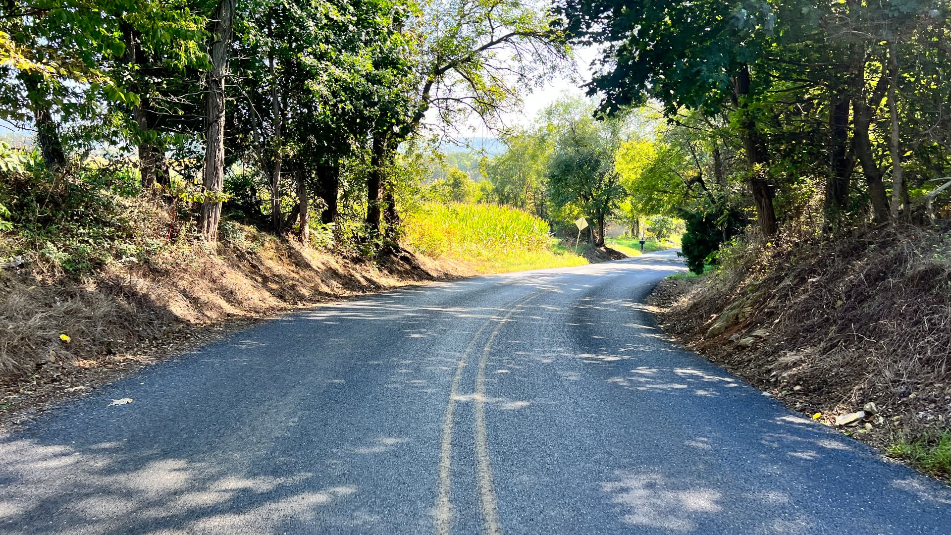 A country road bending through trees into open farmland